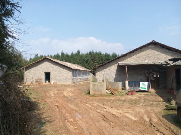 黄发贵老板猪场全景